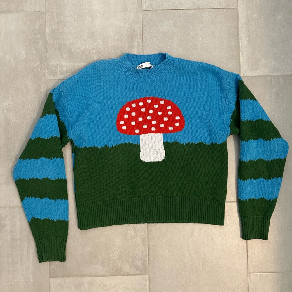 Cute Mushroom Zara Sweater! Very comfortable. Size small!